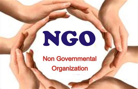 non profit organization in nigeria|List of 20 NGOs in Nigeria and their Contact Information.